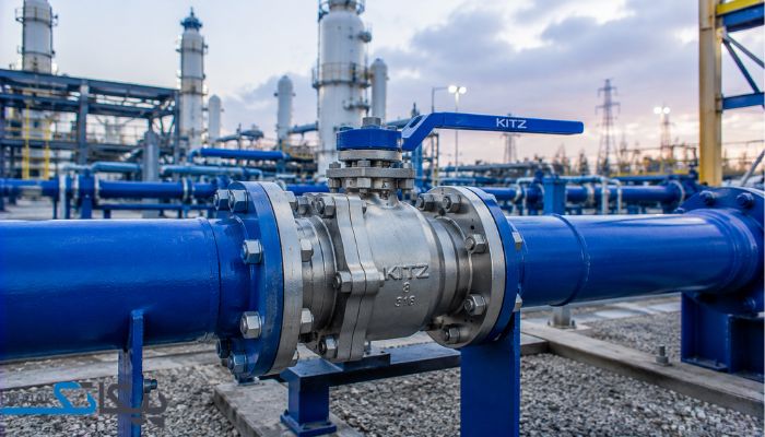 خرید شیر توپی کیتز